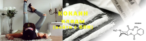 соль ск Арсеньев