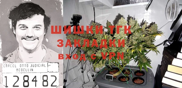 соль ск Арсеньев