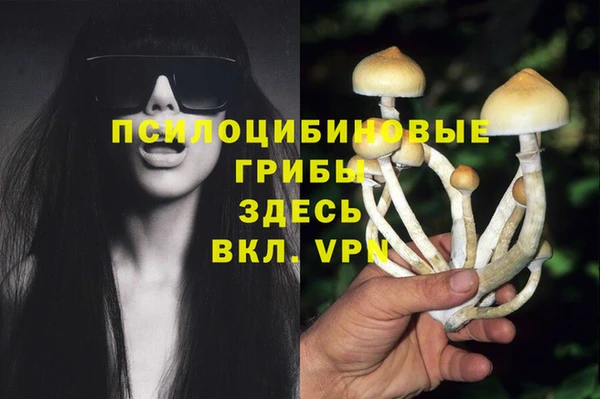 ALPHA-PVP Армянск